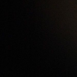 Meet your Posher, Gracie